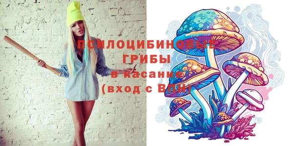 гидра Карталы