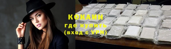 твердый Карпинск