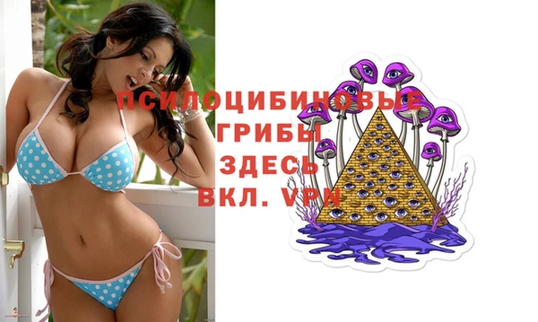 гидра Карталы