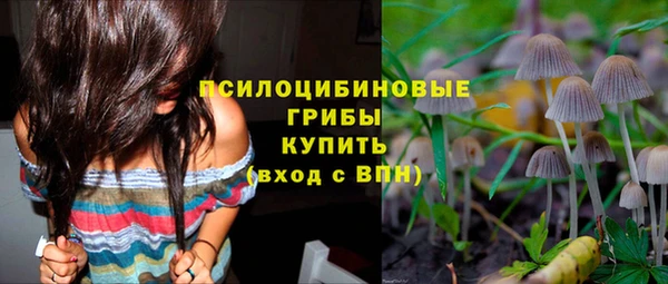 твердый Карпинск