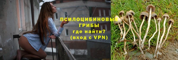 твердый Карпинск