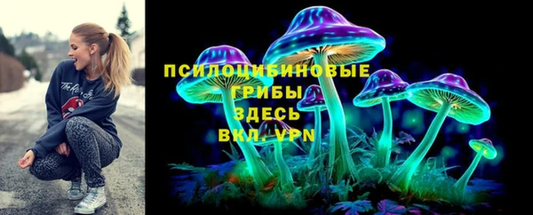 гидра Карталы